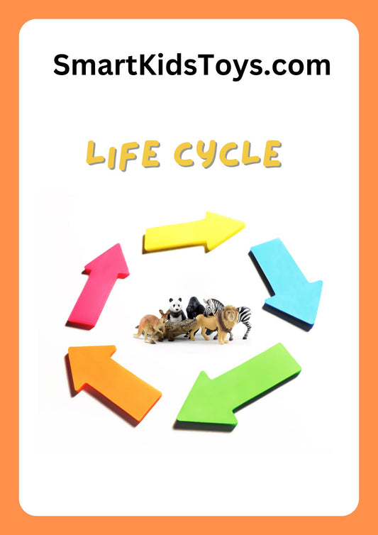 Coloring Life Cycle